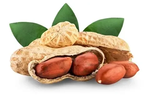 ESPA MANI CON CASCARAS