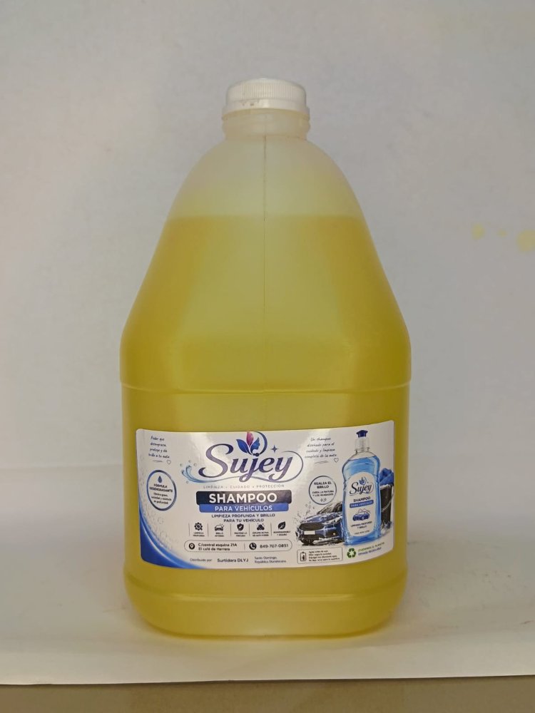 shampoo para vehiculos