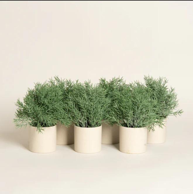 Planta Artificial Crisper en Maceta Plástica Blanca