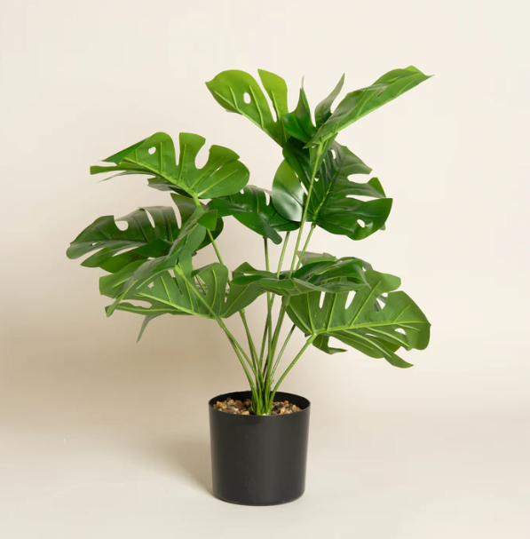Planta artificial Adan 10x50 cm