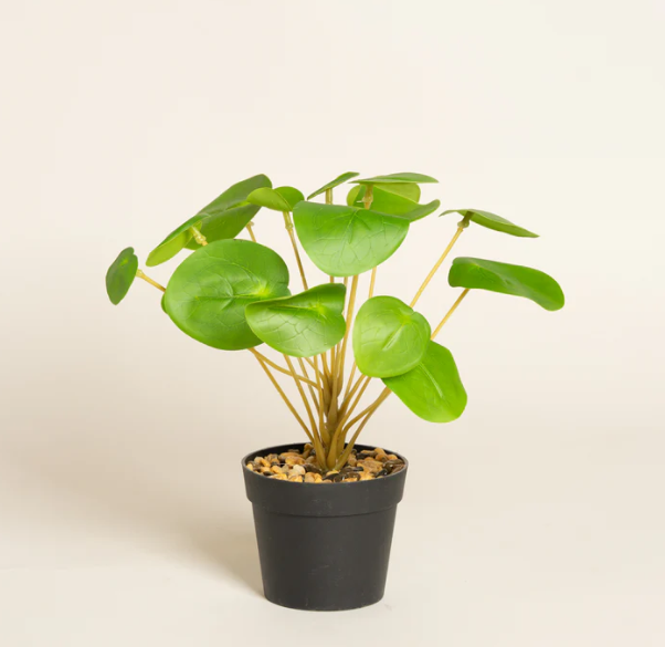 Planta artificial Whisper con maceta plastica 7x22 cm