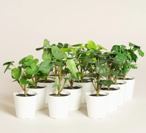 Planta Artificial en Maceta plástica blanca Small