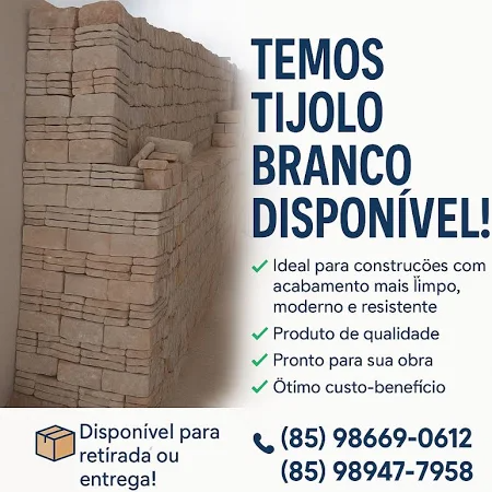 TIJOLO BRANCO PACOTE 20