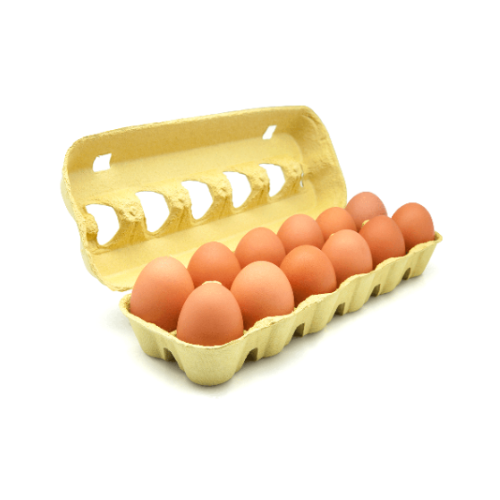 Ovos de Colônia