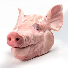 CABEZA DE CERDO