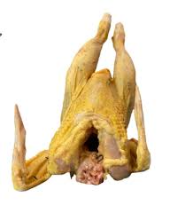 GALLINA CRIOLLA