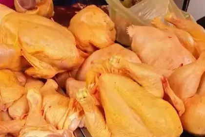 POLLO FRIAL MEDIANO-ECONOMICO