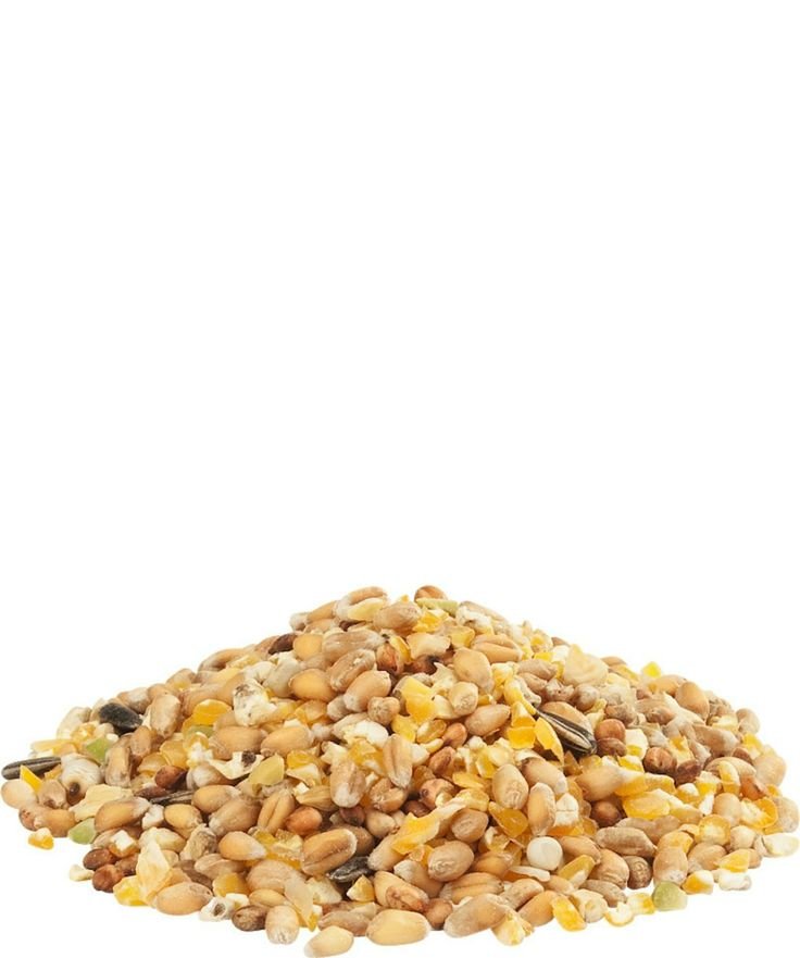 MEZCLA GALLINA
