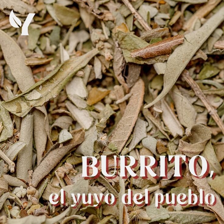 BURRITO