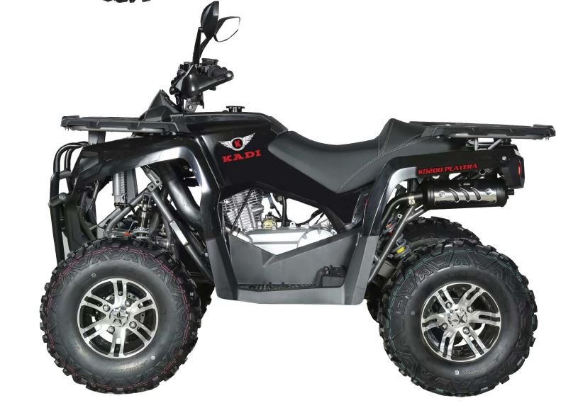 PLAYERA 200CC