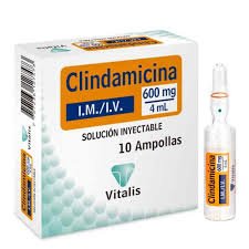 CLINDAMICINA AMPOLLA 600MG