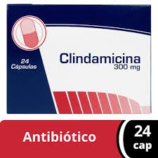 CLINDAMICINA 300MG COASPHARMA
