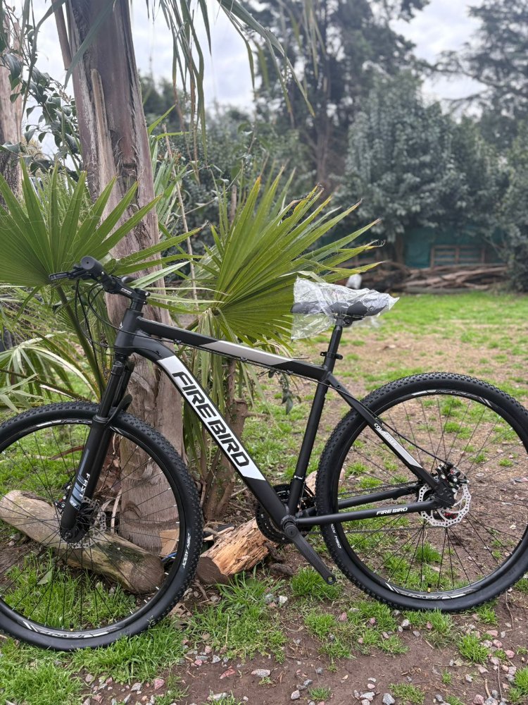 BICICLETA FIRE BIRD