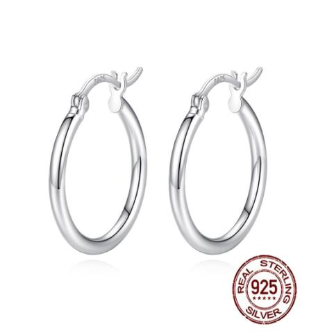 Aretes de plata-2cm-Plata-SE046