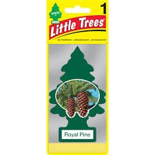 Pinito royal pine little trees
