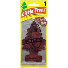 Pinito leathetr little trees