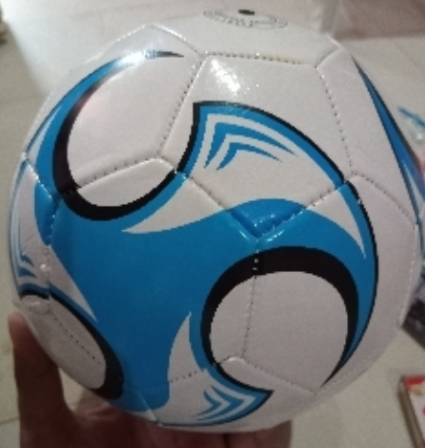 BALÓN DE FÚTBOL ECONÓMICO #5 10829