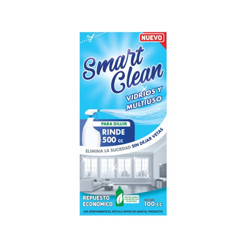 10151 S.CLEAN LIMP VIDRIO X100