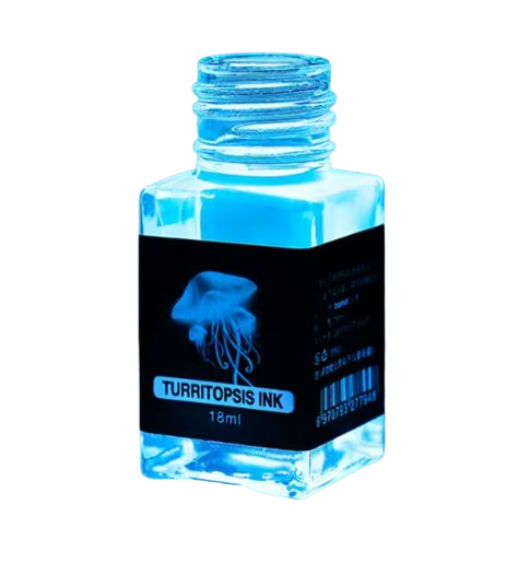 18 ml tinta invisible mágica sin carbono para pluma de inmersión