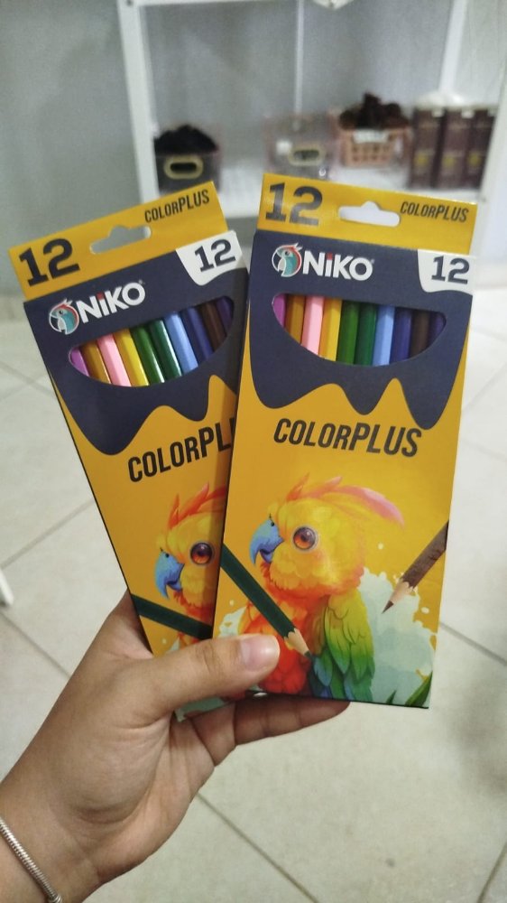 Lapices de colores Niko 12/1