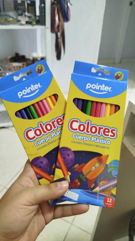 lapices de colores 12/1 pointer