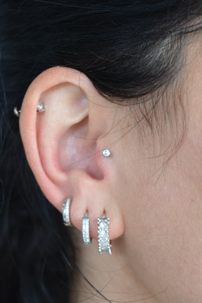 Tragus