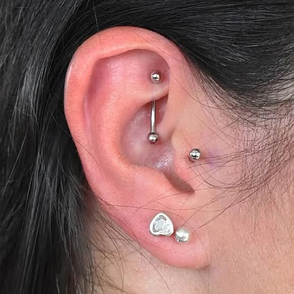 Rook