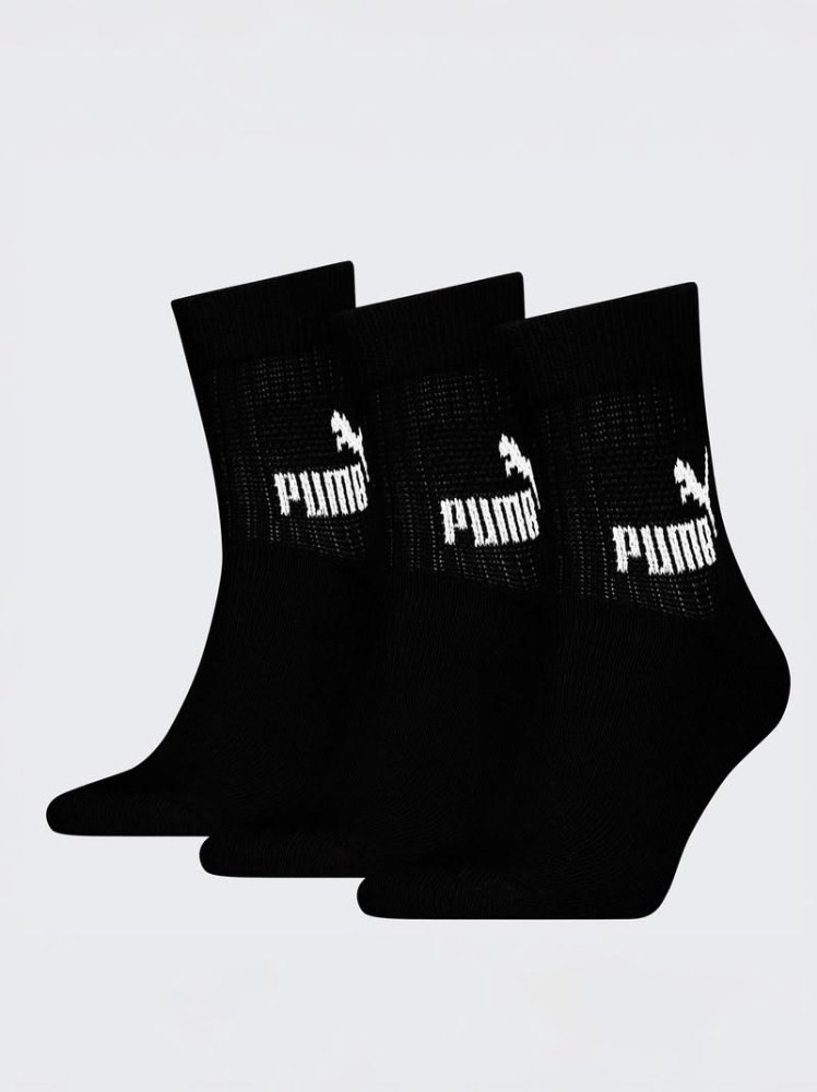 Media Puma