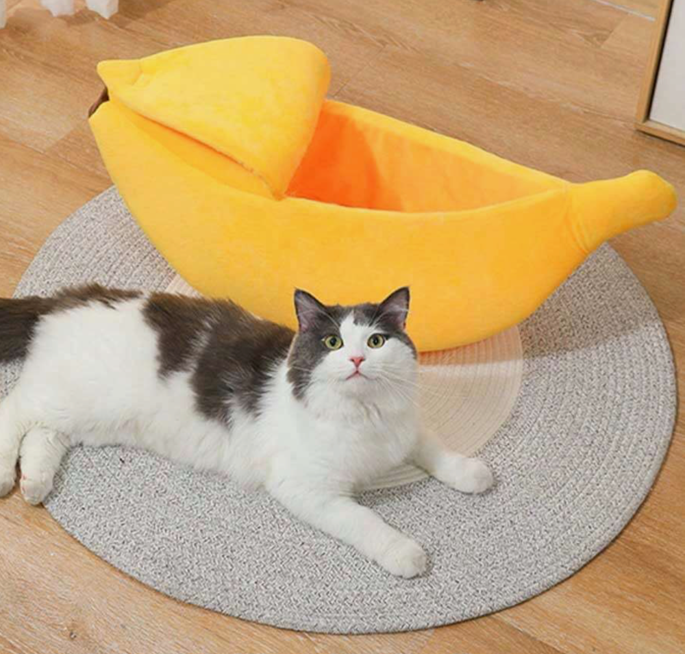 Cama de banana