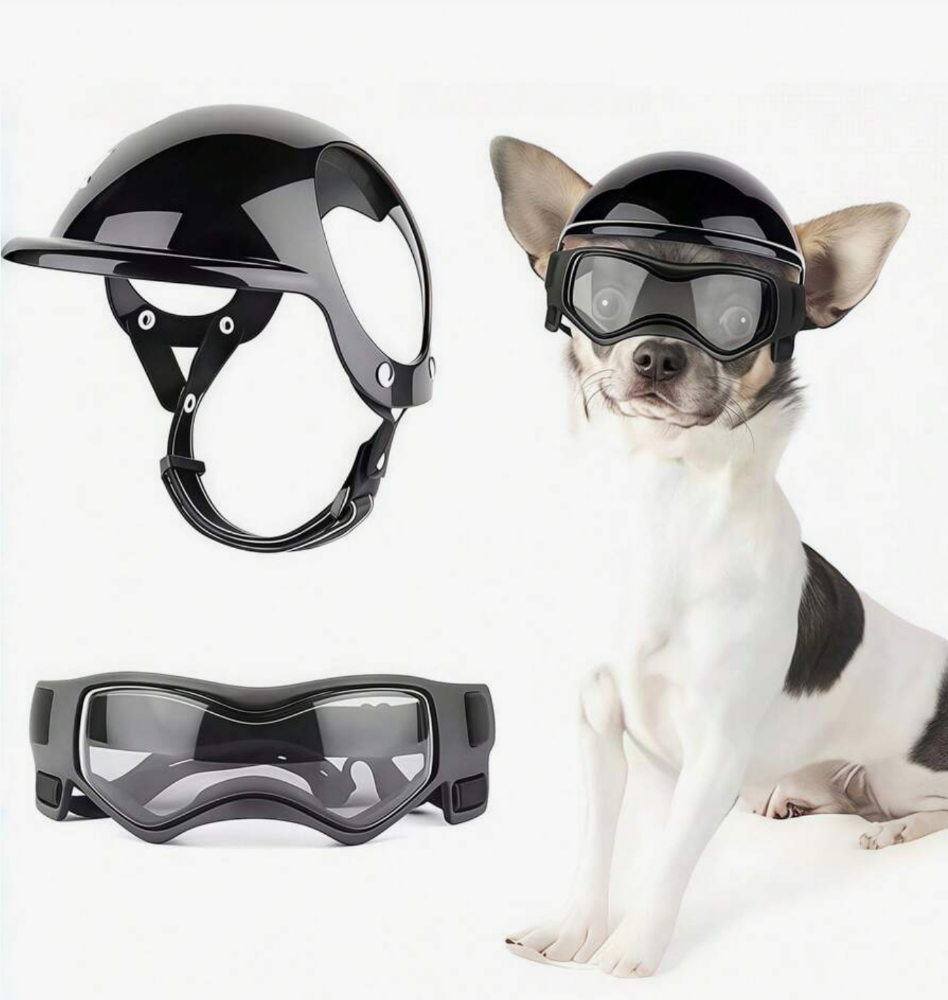 Casco motociclista