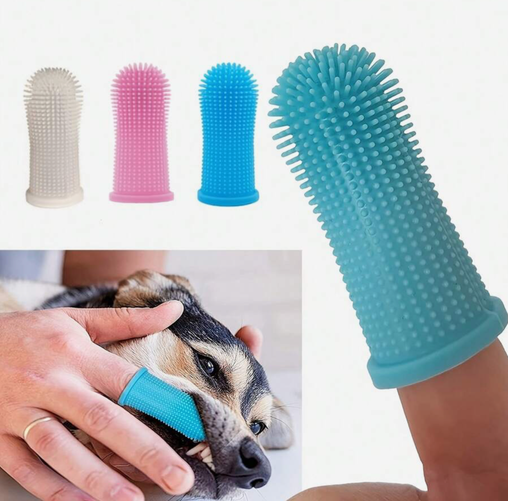 Cepillo de dientes / Funda