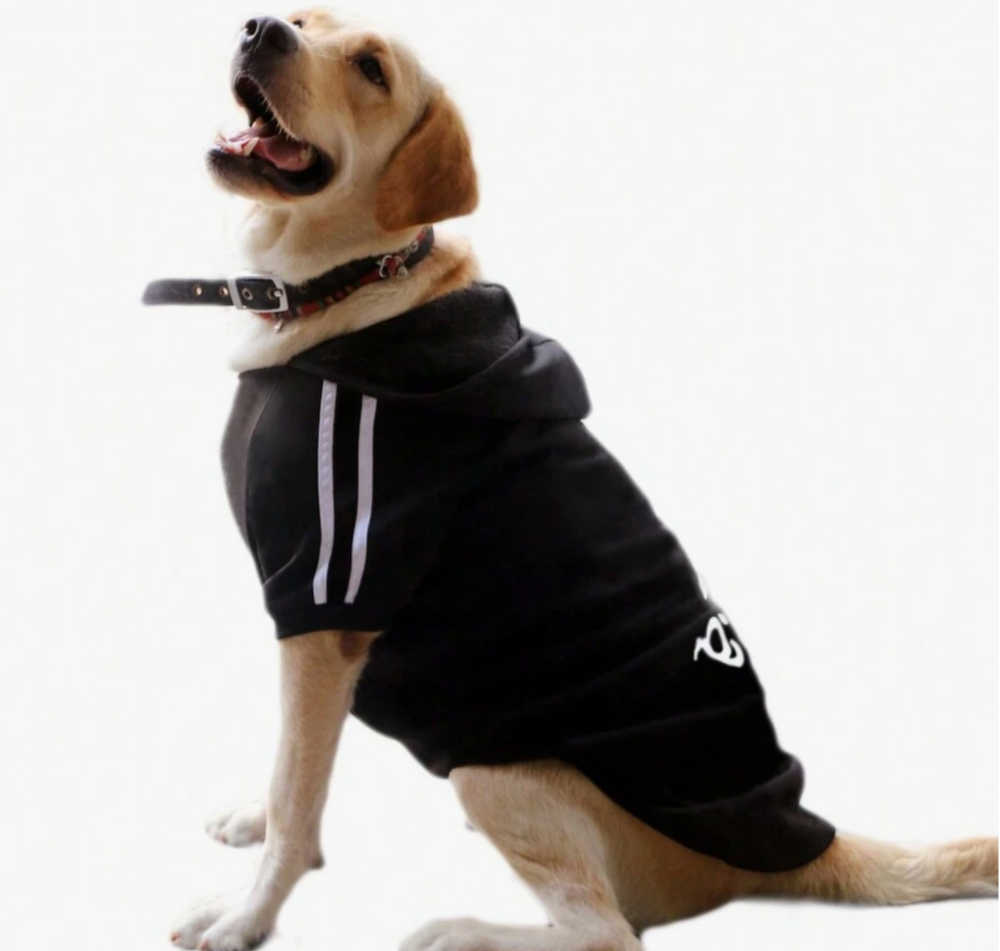 Sueter perro cholo