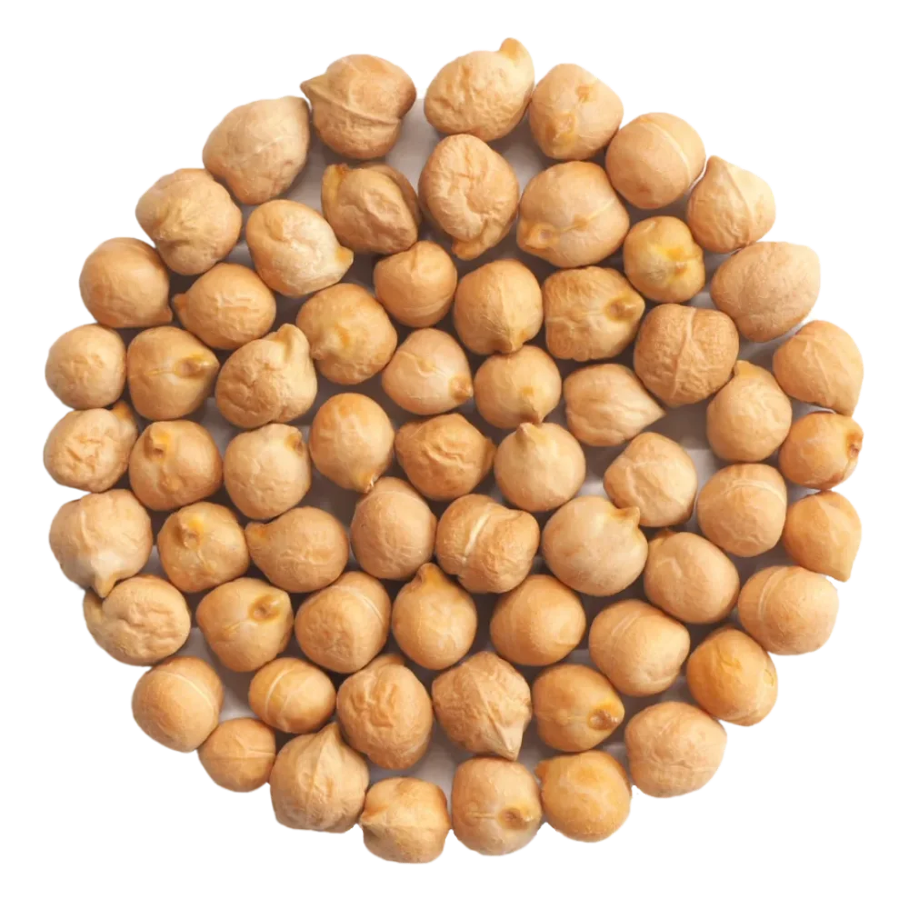 Garbanzos 500g