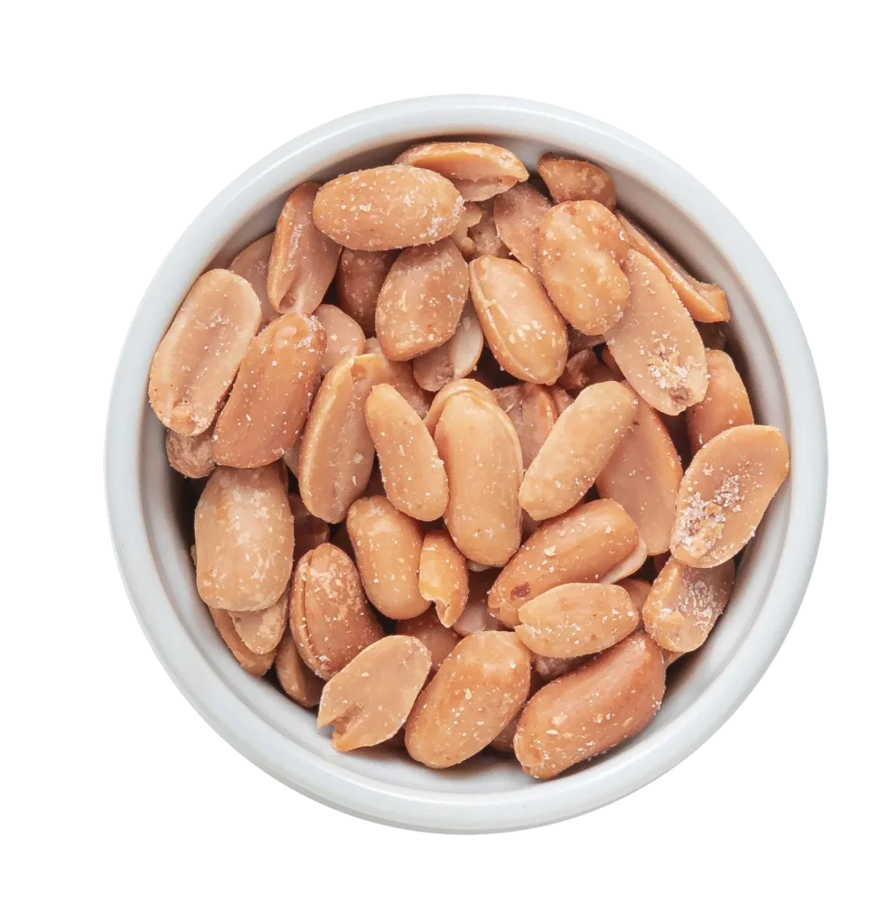 Maní CON SAL 1kg