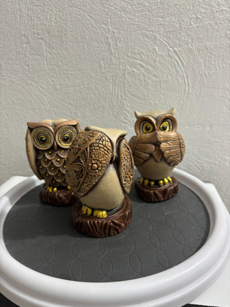 Set Buhos de la Prudencia