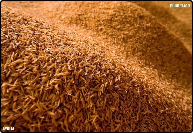GRANZA DE ARROZ (HUSK) BULTO 40 LBS