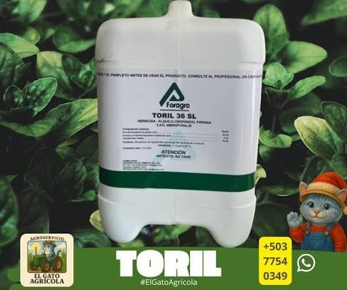 TORIL 36 SL (18 LT)