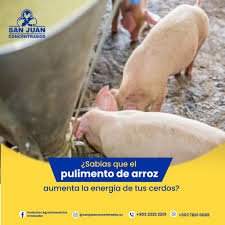 PULIMENTO BLANCO 45.36 KG