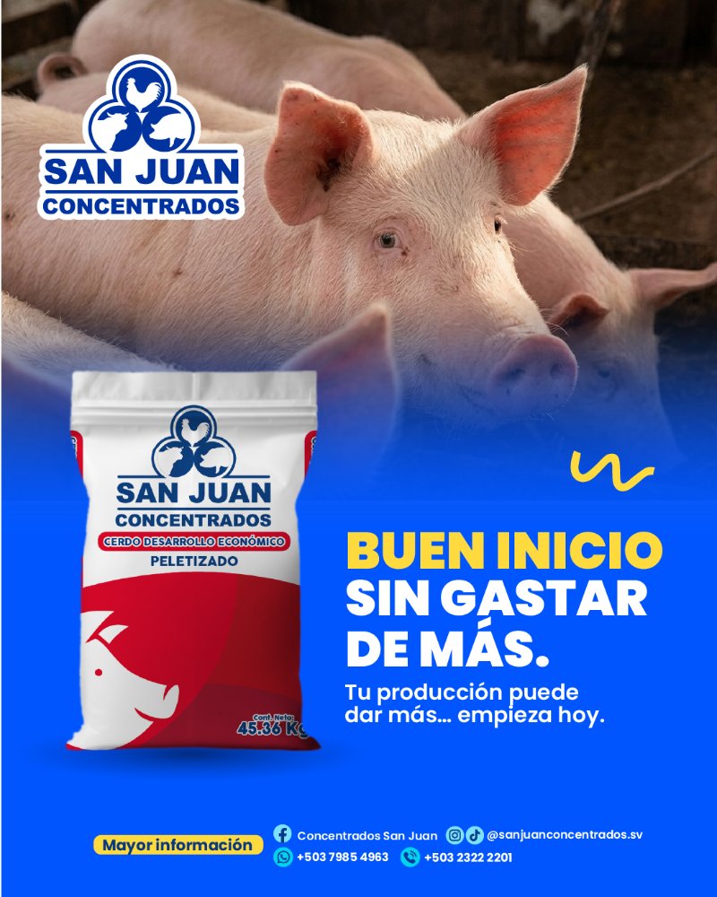 CONCENTRADO CERDO FINAL ECONOMICO PELLET