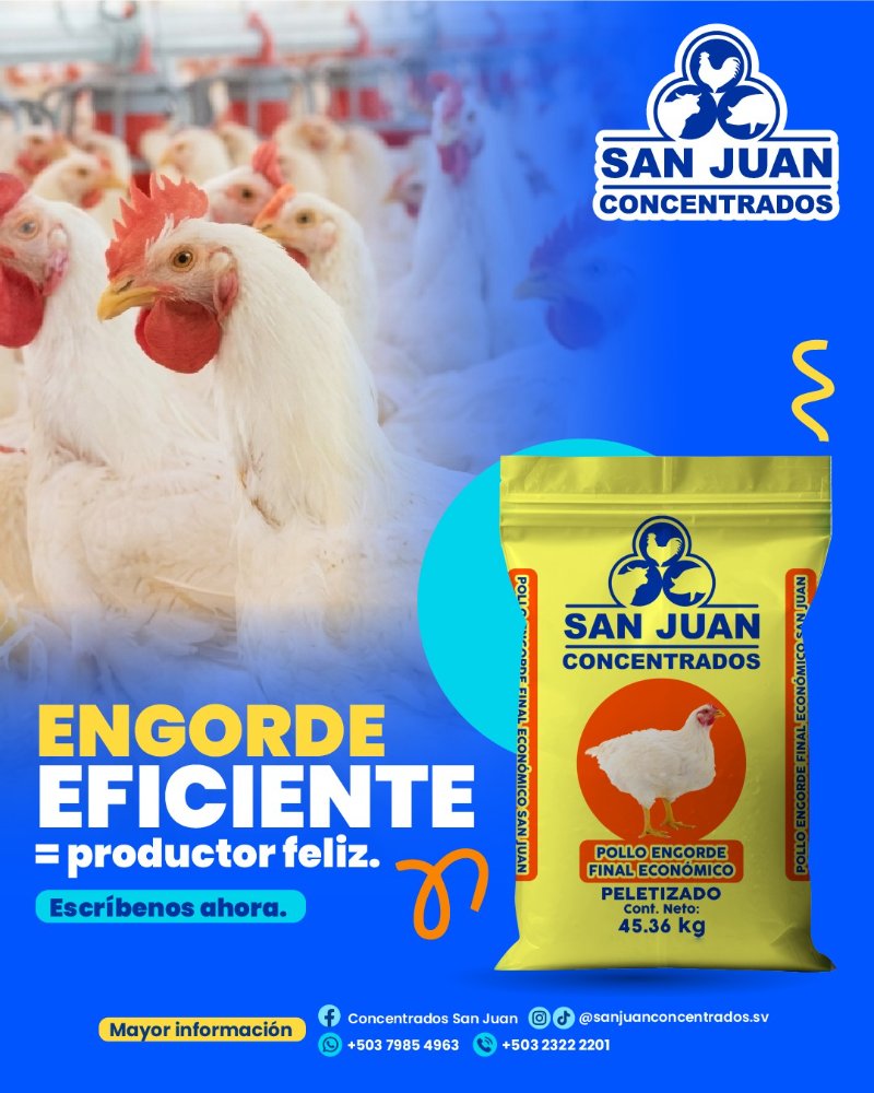 CONCENTRADO POLLO FINALIZADOR PREMIUM PELLET 45.36