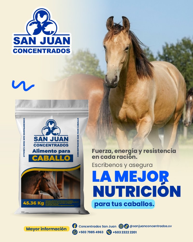 CABALLO SAN JUAN
