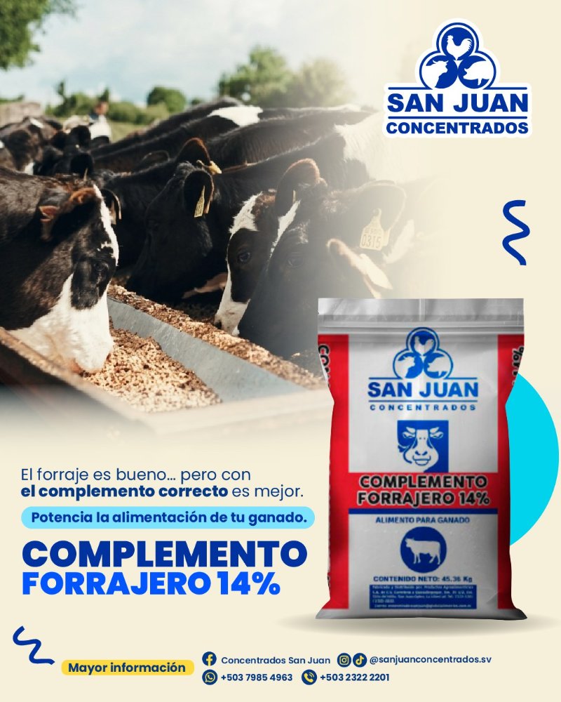 CONCEN GANADO MANTENIMIENTO 14%