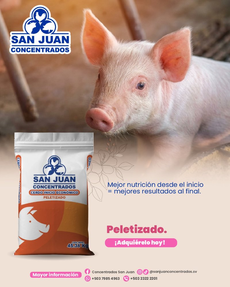 CONCENTRADO CERDO INICIO ECONOMICO PELLET