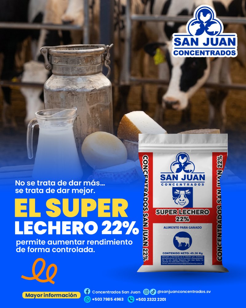 SUPER LECHERO 22
