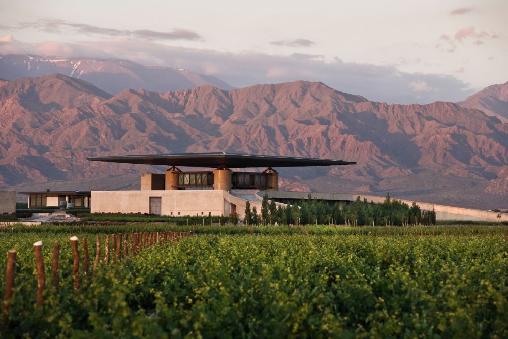 Visita Bodega Alfa Crux