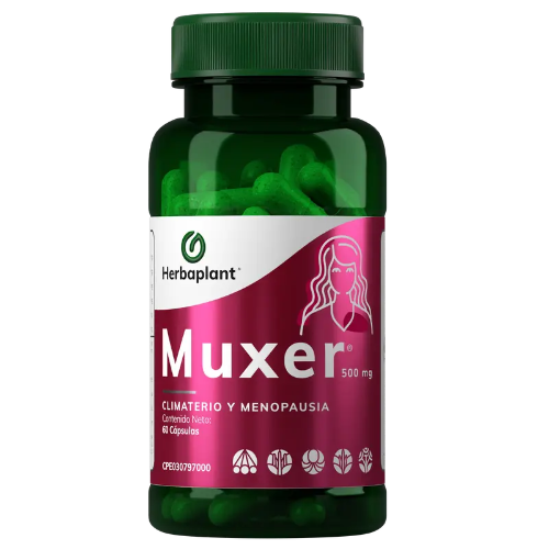 Muxer (60)