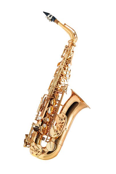 SAXOFON ALTO VOZZ MUSIC