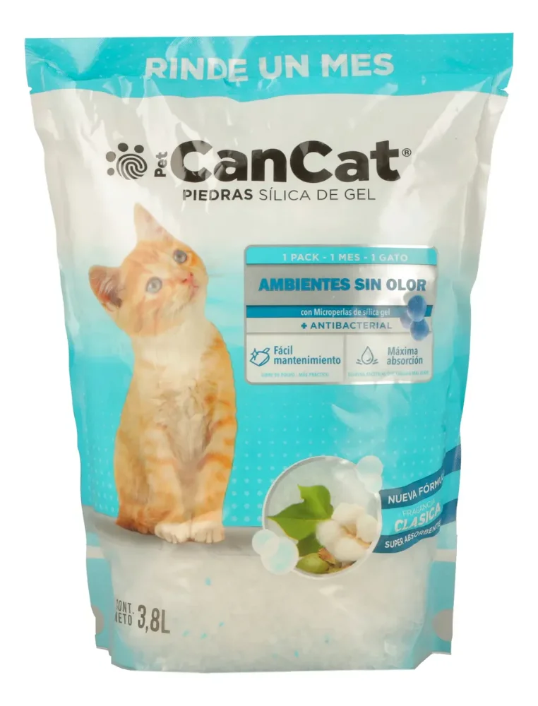 can cat 3.8KG
