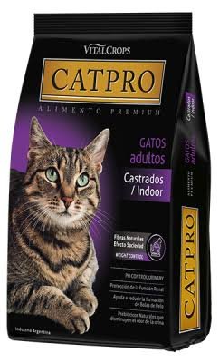 CAT PRO CASTRADO SUELTO