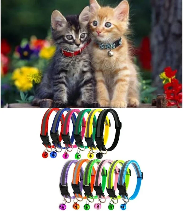 collar gato en blister
